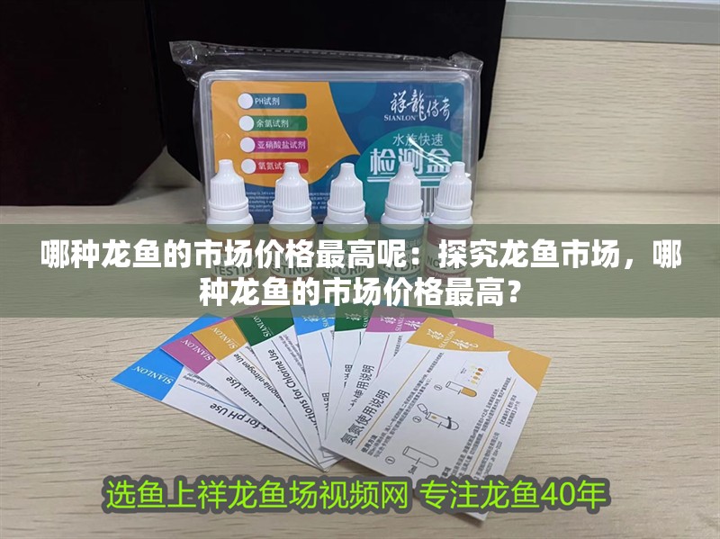 哪種龍魚的市場價格最高呢：探究龍魚市場，哪種龍魚的市場價格最高？