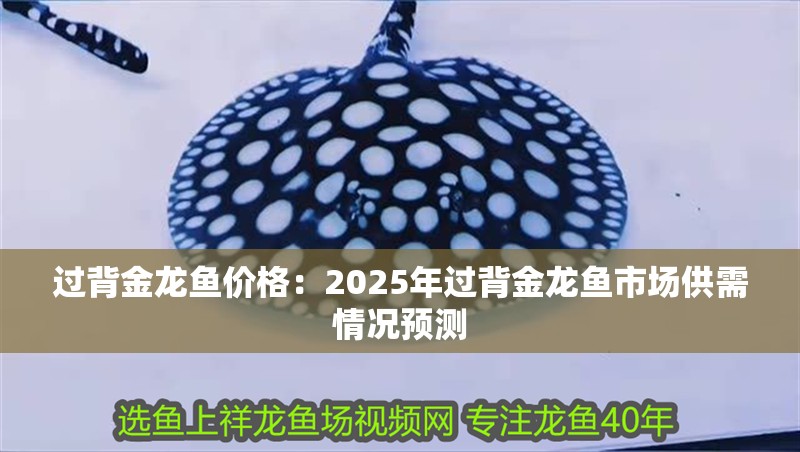過背金龍魚價格：2025年過背金龍魚市場供需情況預(yù)測