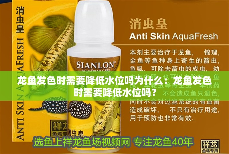 龍魚發(fā)色時(shí)需要降低水位嗎為什么：龍魚發(fā)色時(shí)需要降低水位嗎？ 龍魚發(fā)色時(shí)需要降低水位嗎為什么：龍魚發(fā)色時(shí)需要降低水位嗎？ 水族問答