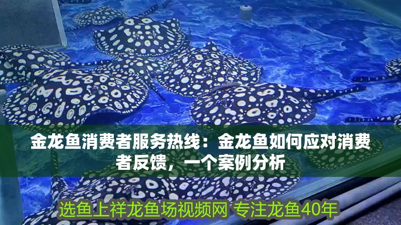 金龍魚消費(fèi)者服務(wù)熱線：金龍魚如何應(yīng)對消費(fèi)者反饋，一個(gè)案例分析