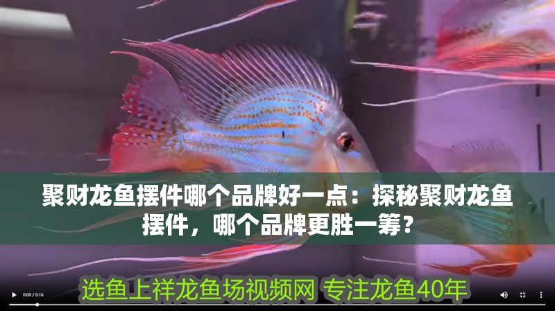 聚財龍魚擺件哪個品牌好一點：探秘聚財龍魚擺件，哪個品牌更勝一籌？