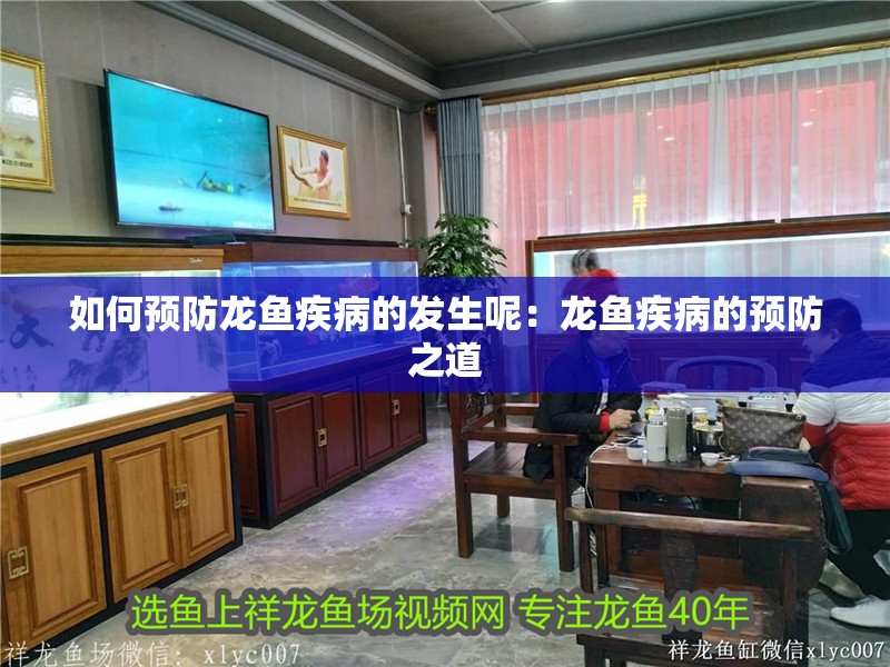 如何預防龍魚疾病的發生呢：龍魚疾病的預防之道