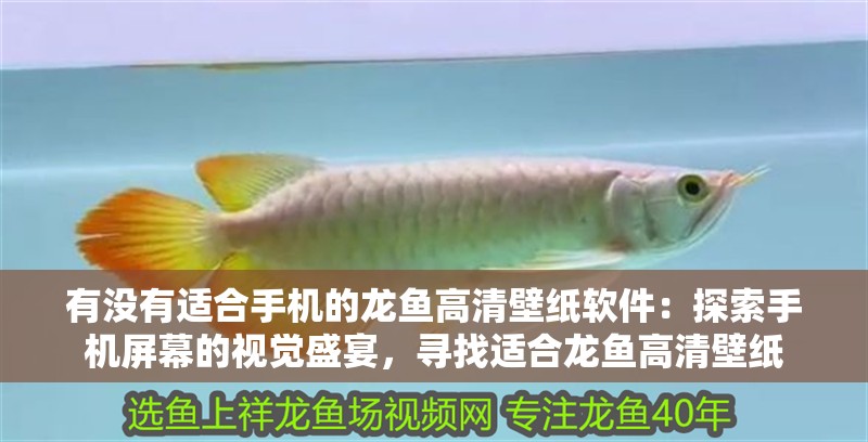有沒有適合手機的龍魚高清壁紙軟件：探索手機屏幕的視覺盛宴，尋找適合龍魚高清壁紙