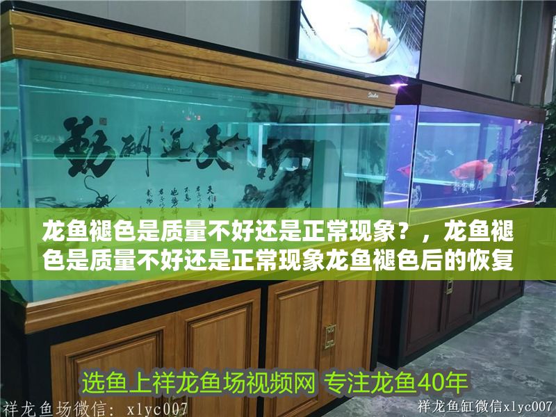 龍魚褪色是質量不好還是正常現象？，龍魚褪色是質量不好還是正常現象龍魚褪色后的恢復技巧