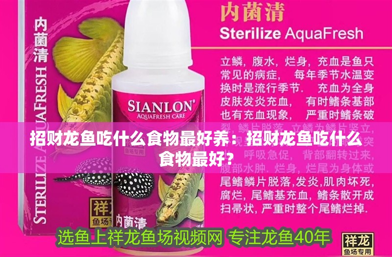 招財龍魚吃什么食物最好養(yǎng)：招財龍魚吃什么食物最好？