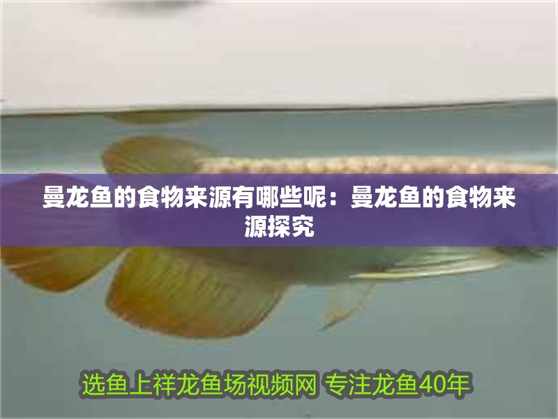 曼龍魚的食物來源有哪些呢：曼龍魚的食物來源探究