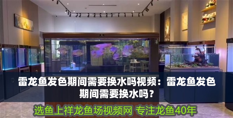 雷龍魚發(fā)色期間需要換水嗎視頻：雷龍魚發(fā)色期間需要換水嗎？