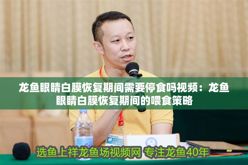 龍魚眼睛白膜恢復期間需要停食嗎視頻：龍魚眼睛白膜恢復期間的喂食策略