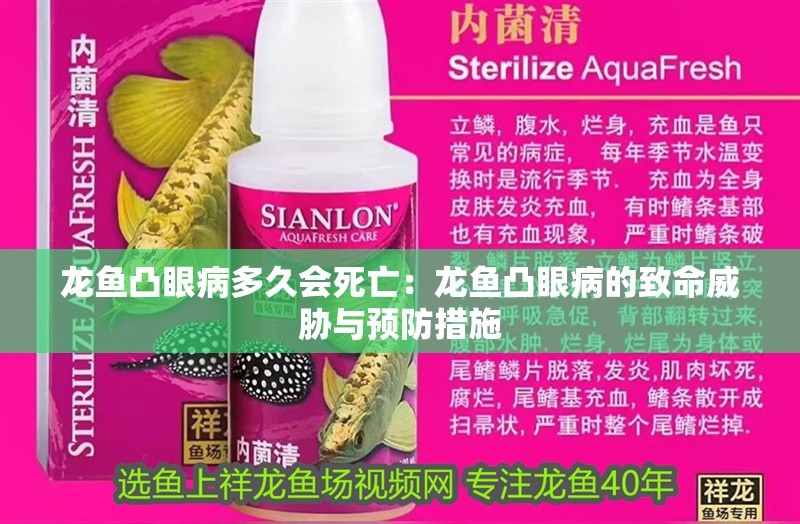 龍魚凸眼病多久會(huì)死亡：龍魚凸眼病的致命威脅與預(yù)防措施