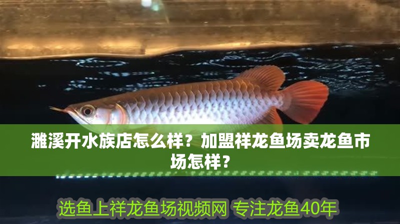 濉溪開水族店怎么樣？加盟祥龍魚場賣龍魚市場怎樣？