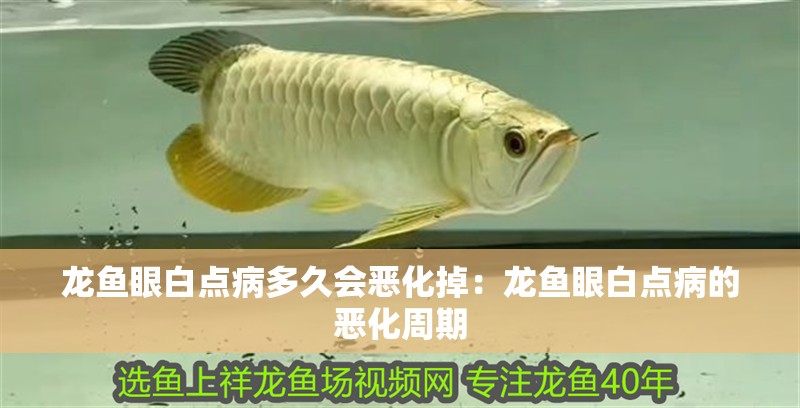 龍魚眼白點病多久會惡化掉：龍魚眼白點病的惡化周期