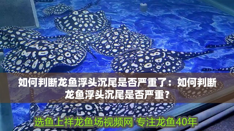 如何判斷龍魚浮頭沉尾是否嚴重了：如何判斷龍魚浮頭沉尾是否嚴重？
