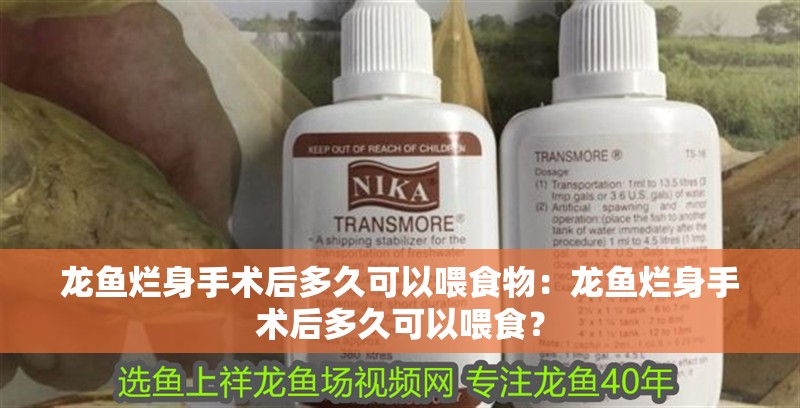 龍魚爛身手術后多久可以喂食物:龍魚爛身手術后多久可以喂食?