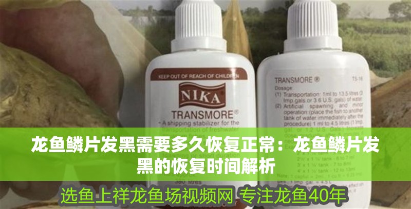 龍魚鱗片發(fā)黑需要多久恢復(fù)正常：龍魚鱗片發(fā)黑的恢復(fù)時(shí)間解析