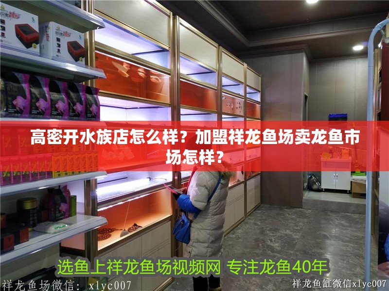 高密開水族店怎么樣？加盟祥龍魚場賣龍魚市場怎樣？