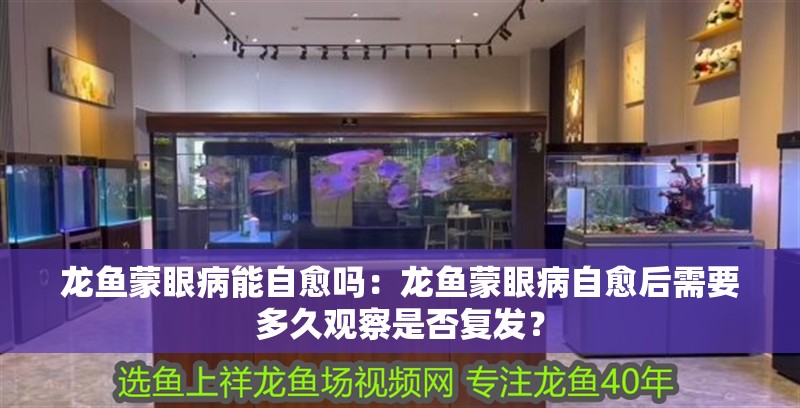 龍魚蒙眼病能自愈嗎：龍魚蒙眼病自愈后需要多久觀察是否復發(fā)？