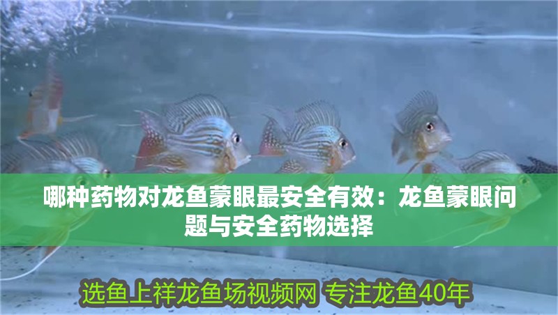哪種藥物對龍魚蒙眼最安全有效：龍魚蒙眼問題與安全藥物選擇