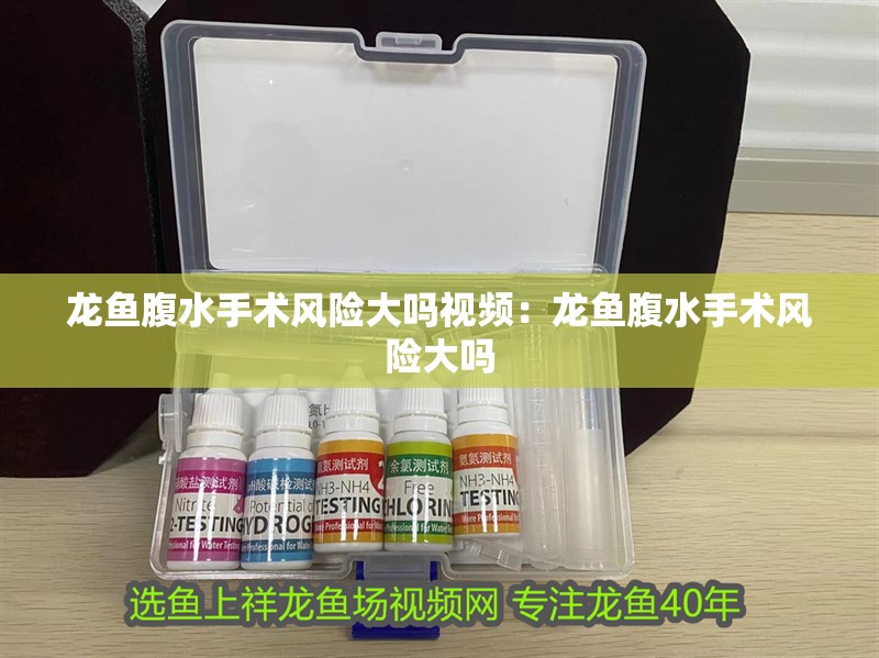 龍魚腹水手術(shù)風(fēng)險大嗎視頻：龍魚腹水手術(shù)風(fēng)險大嗎