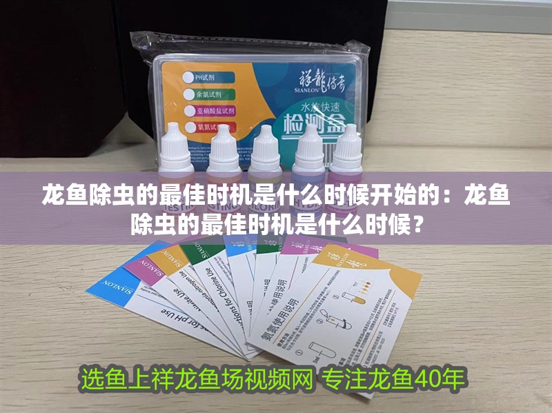 龍魚除蟲的最佳時機是什么時候開始的：龍魚除蟲的最佳時機是什么時候？