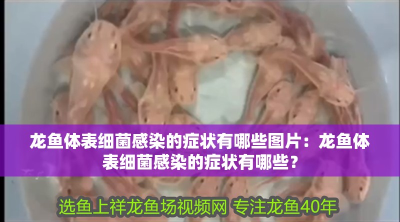 龍魚體表細(xì)菌感染的癥狀有哪些圖片：龍魚體表細(xì)菌感染的癥狀有哪些？