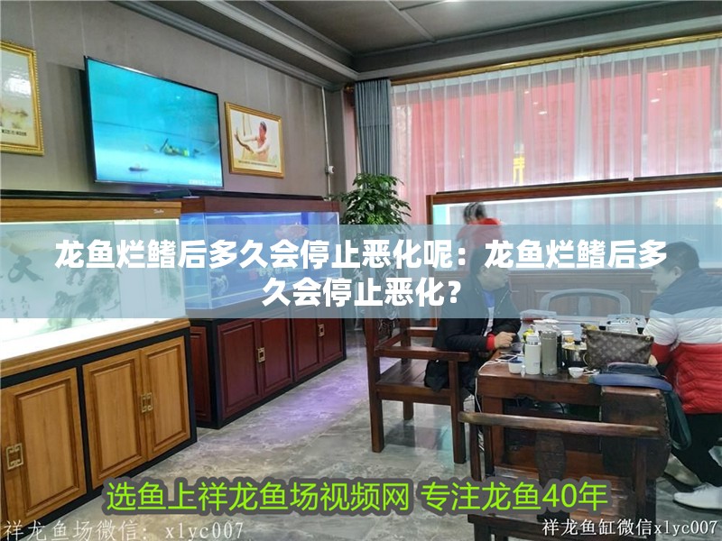 龍魚爛鰭后多久會停止惡化呢：龍魚爛鰭后多久會停止惡化？