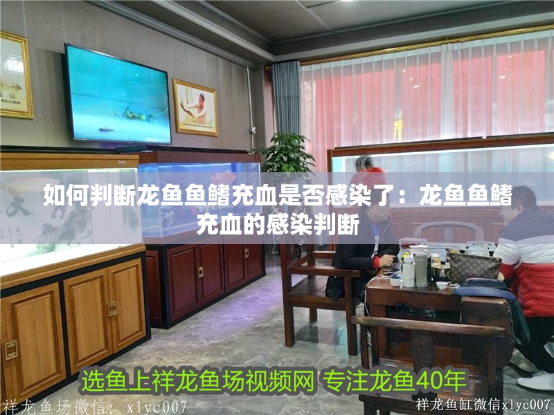 如何判斷龍魚(yú)魚(yú)鰭充血是否感染了：龍魚(yú)魚(yú)鰭充血的感染判斷