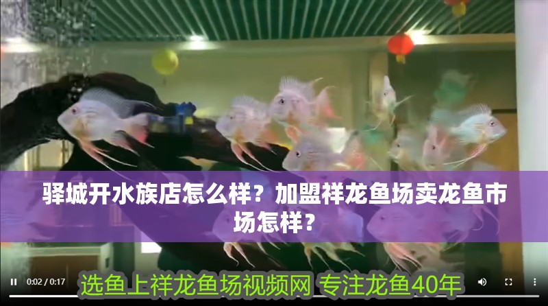 驛城開水族店怎么樣？加盟祥龍魚場賣龍魚市場怎樣？