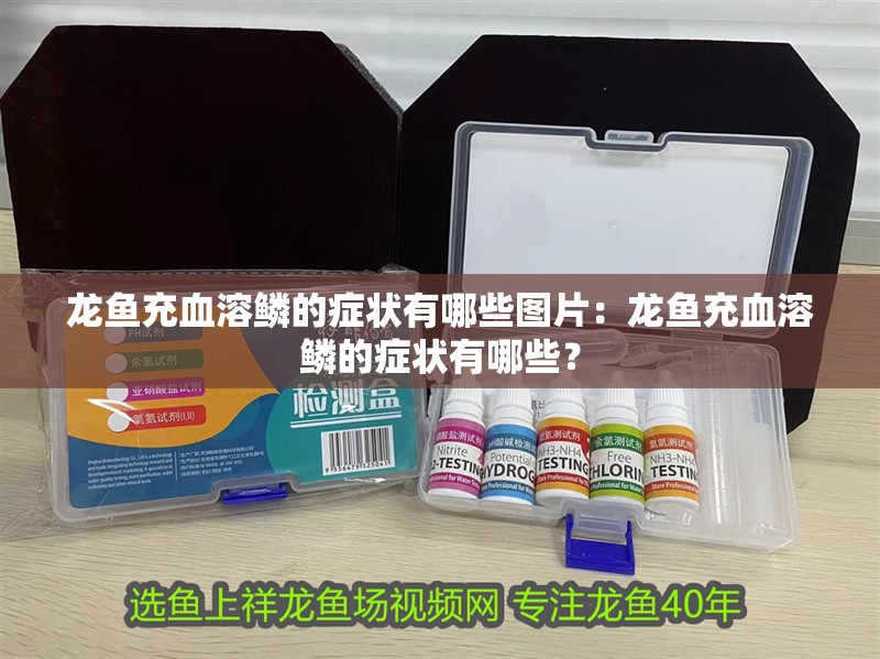 龍魚(yú)充血溶鱗的癥狀有哪些圖片：龍魚(yú)充血溶鱗的癥狀有哪些？