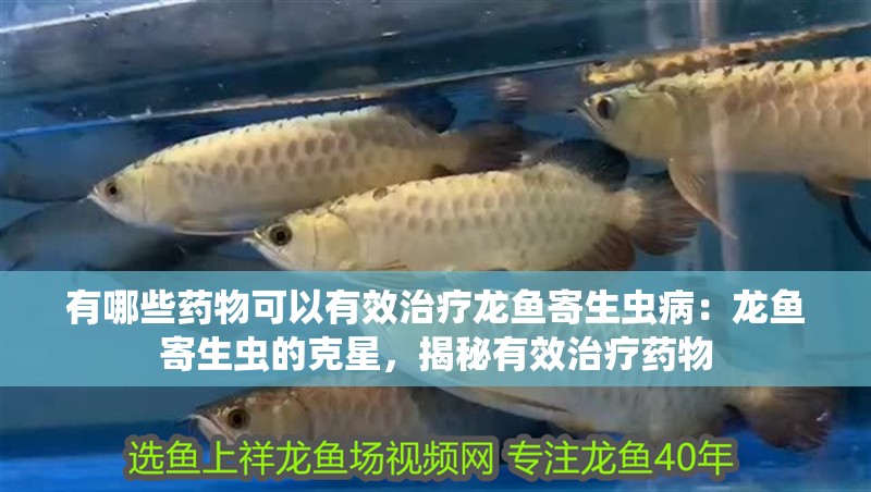 有哪些藥物可以有效治療龍魚寄生蟲病：龍魚寄生蟲的克星，揭秘有效治療藥物
