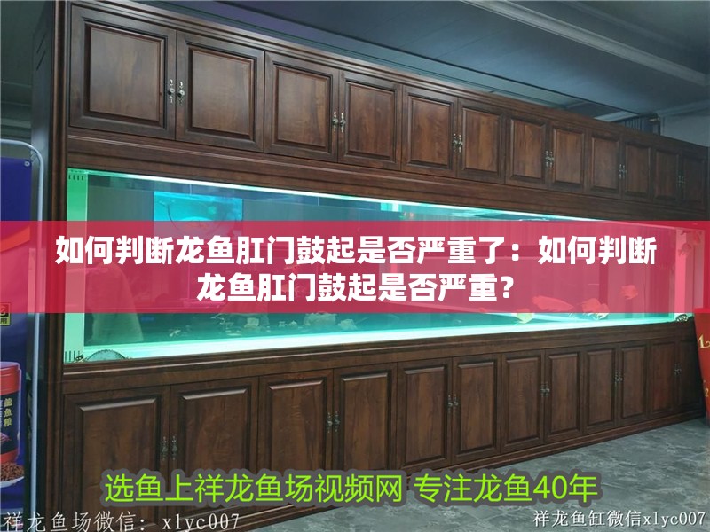 如何判斷龍魚肛門鼓起是否嚴重了：如何判斷龍魚肛門鼓起是否嚴重？