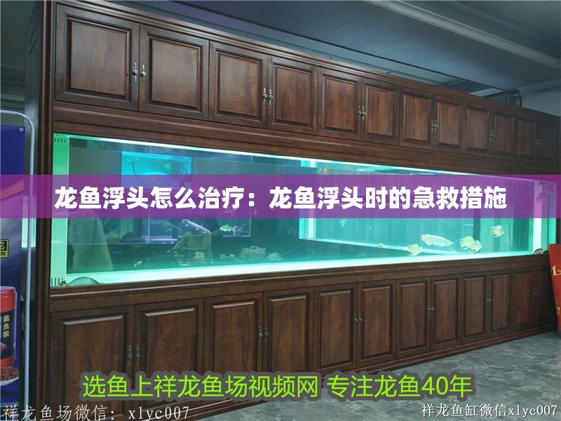 龍魚浮頭怎么治療：龍魚浮頭時的急救措施