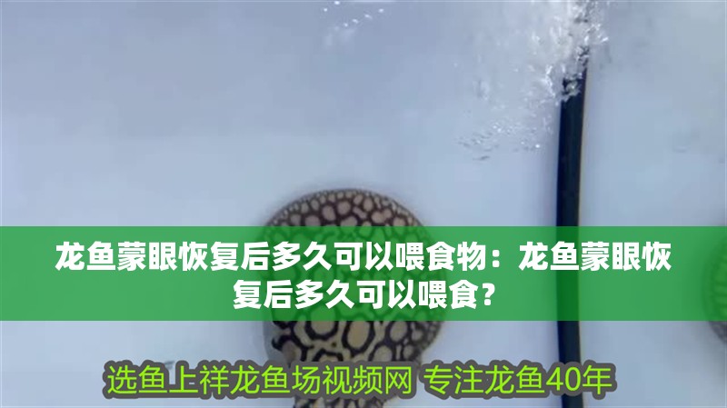 龍魚蒙眼恢復后多久可以喂食物：龍魚蒙眼恢復后多久可以喂食？