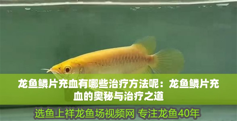 龍魚鱗片充血有哪些治療方法呢：龍魚鱗片充血的奧秘與治療之道
