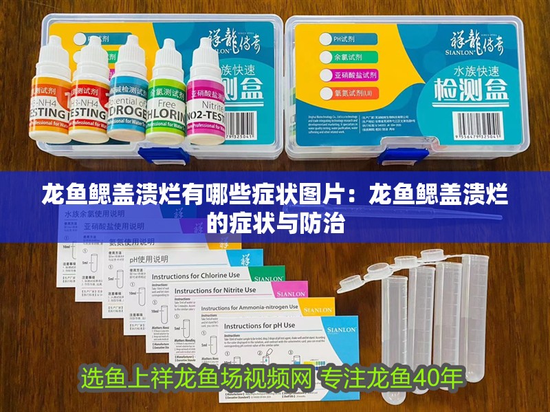 龍魚鰓蓋潰爛有哪些癥狀圖片：龍魚鰓蓋潰爛的癥狀與防治