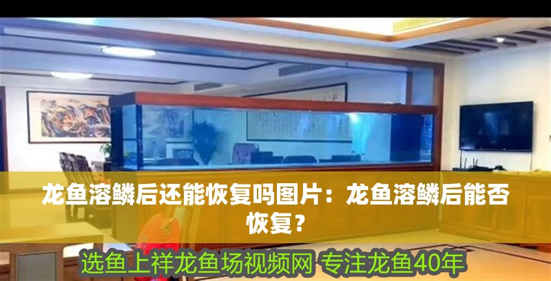 龍魚(yú)溶鱗后還能恢復(fù)嗎圖片：龍魚(yú)溶鱗后能否恢復(fù)？