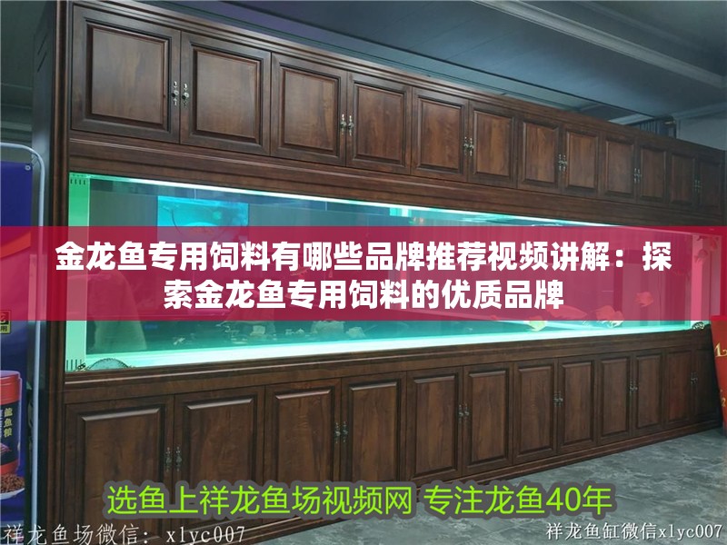 金龍魚專用飼料有哪些品牌推薦視頻講解：探索金龍魚專用飼料的優質品牌