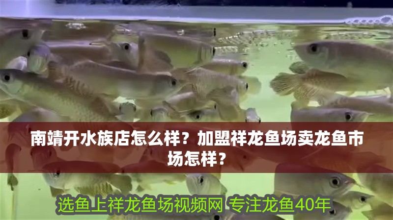 南靖開水族店怎么樣？加盟祥龍魚場賣龍魚市場怎樣？