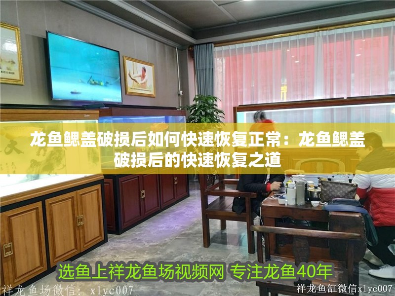 龍魚鰓蓋破損后如何快速恢復正常：龍魚鰓蓋破損后的快速恢復之道