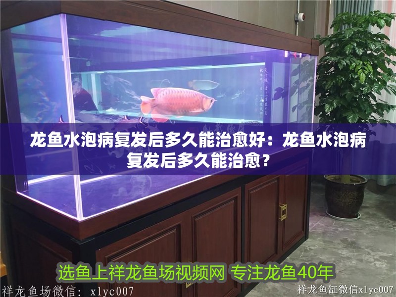 龍魚水泡病復發后多久能治愈好：龍魚水泡病復發后多久能治愈？