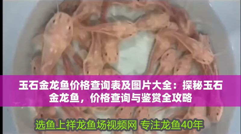 玉石金龍魚價格查詢表及圖片大全：探秘玉石金龍魚，價格查詢與鑒賞全攻略