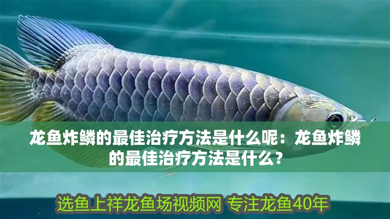 龍魚炸鱗的最佳治療方法是什么呢：龍魚炸鱗的最佳治療方法是什么？