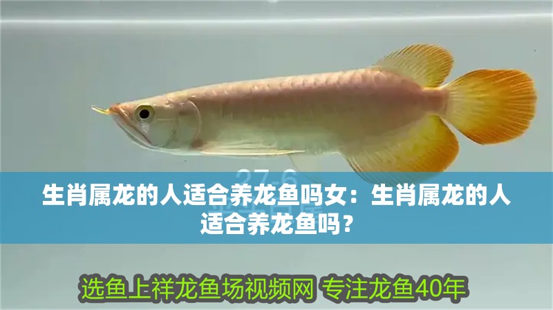 生肖屬龍的人適合養(yǎng)龍魚(yú)嗎女：生肖屬龍的人適合養(yǎng)龍魚(yú)嗎？