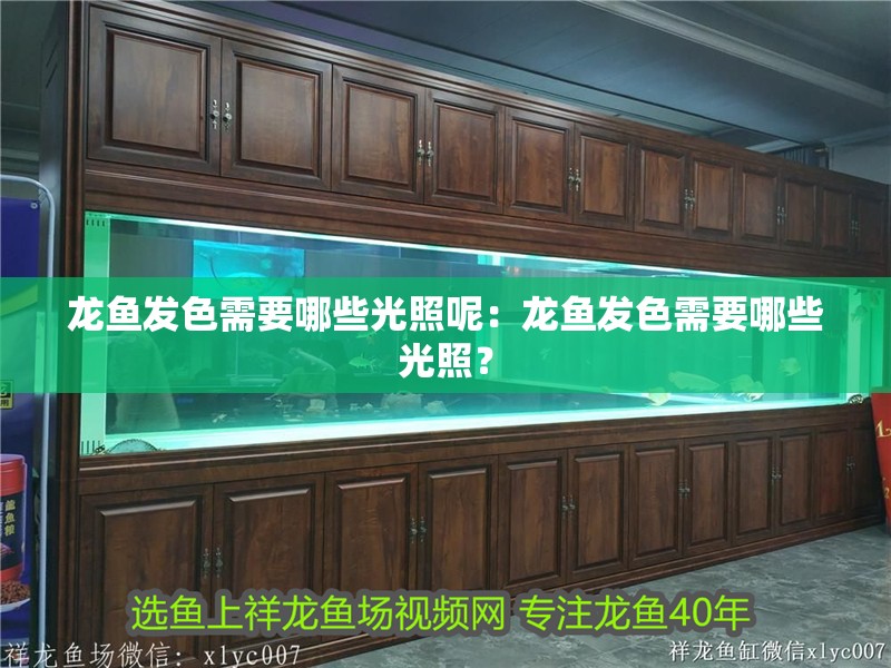 龍魚(yú)發(fā)色需要哪些光照呢：龍魚(yú)發(fā)色需要哪些光照？