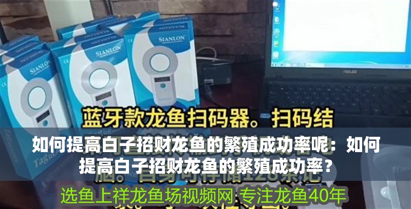 如何提高白子招財龍魚的繁殖成功率呢：如何提高白子招財龍魚的繁殖成功率？