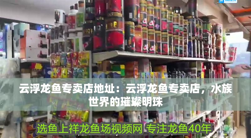 <strong><mark>云浮</mark></strong>龍魚專賣店地址：<strong><mark>云浮</mark></strong>龍魚專賣店，水族世界的璀璨明珠