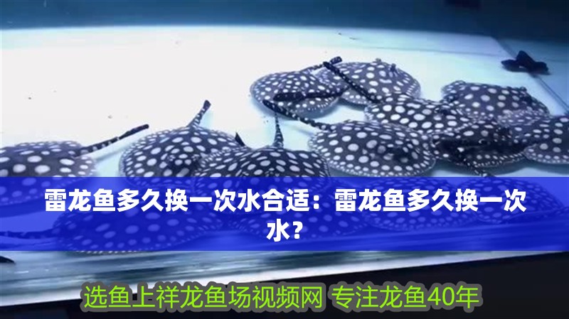 雷龍魚多久換一次水合適：雷龍魚多久換一次水？