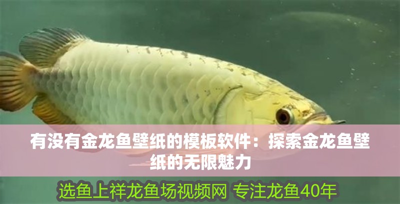 有沒有金龍魚壁紙的模板軟件：探索金龍魚壁紙的無限魅力