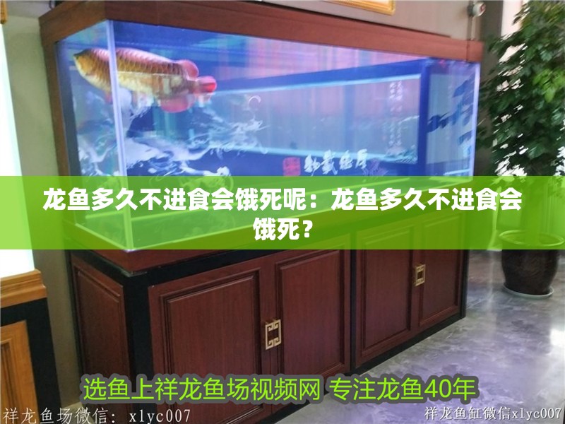 龍魚多久不進食會餓死呢：龍魚多久不進食會餓死？