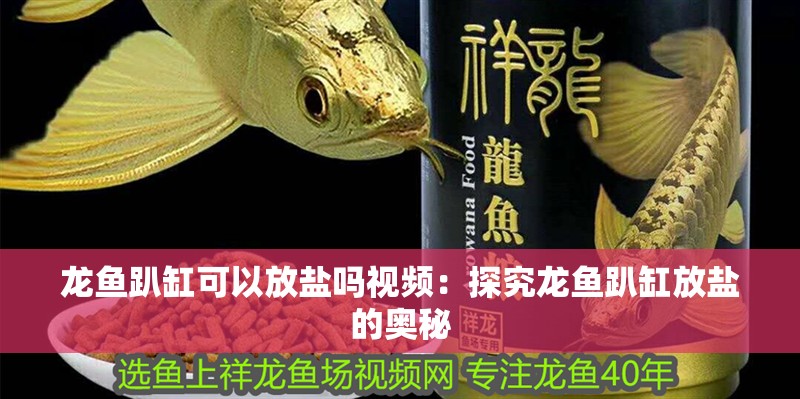龍魚趴缸可以放鹽嗎視頻：探究龍魚趴缸放鹽的奧秘