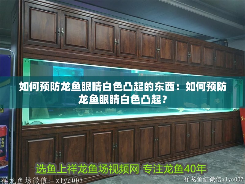 如何預(yù)防龍魚眼睛白色凸起的東西：如何預(yù)防龍魚眼睛白色凸起？